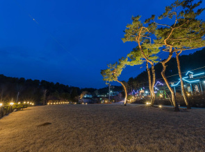 Gapyeong Tree House