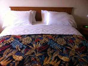 D-Lux Budget Inn Lemont