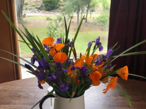 The Old Vicarage (Adults Only)