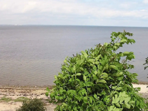 6 Person Holiday Home in Praesto