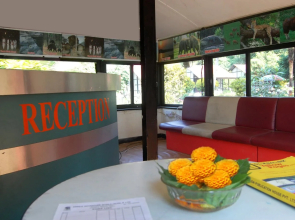 Jungle World Resort