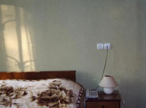 Guest House Borjomi