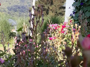 Guesthouse Kolonaki Hellas
