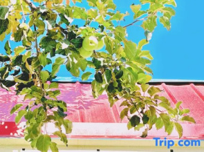 Xiaochen Bieyuan Homestay (Yining Sichuan Road Branch)