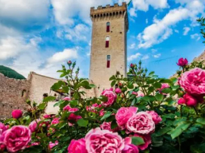 Lo Rocca Dei Trinci
