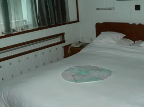 Tasino Cesmice Hotel Skopje