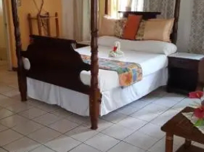 Palm Tree Guest House