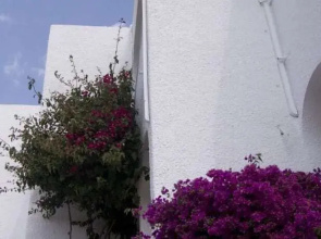 Hostal Las Gaviotas