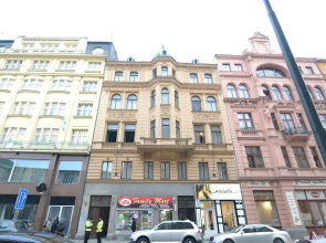 Apartment Hybernska