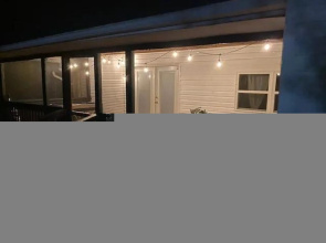 Modern Style Peaceful Tranquility Pet Friendly