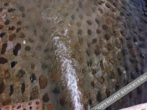 Xiangyun Island Guest House