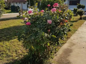 Apartement Kos CountryHouses