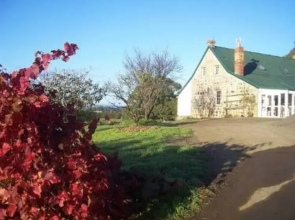 Craigie Knowe Cottage and Vineyard