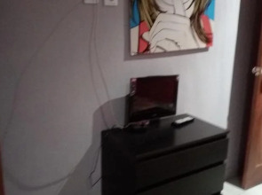 Меблированные комнаты Снегири