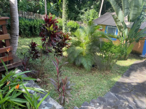 Bungalows Amarante
