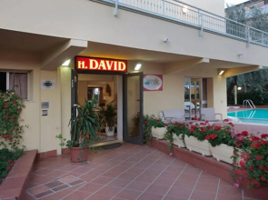 Hotel David
