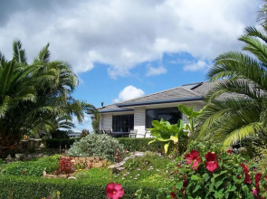DHomestay Bed and Breakfast