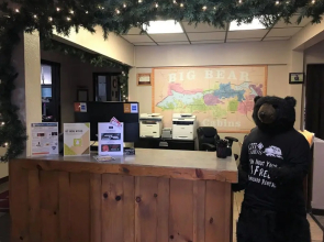 Orsi's Den