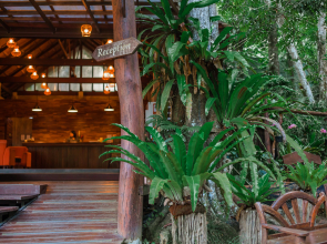 The Vatika Resort and Spa