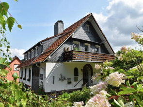 Flat for 10 People With a Large Conservatory at the Edge of the Forest in the Harz Region