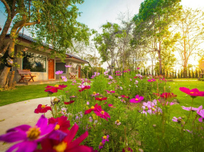 Villa De Bua Resort at Nan