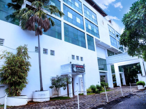 Palms, Mount Lavinia