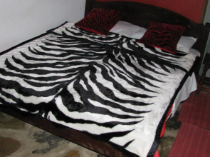 Maasai Simba Camp