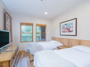 Bear Creek Lodge 305a 1 Bedroom Condo by Alpine Lodging Telluride