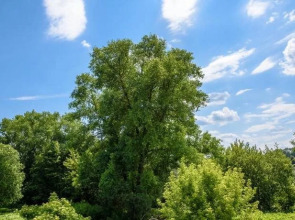 Mini Hotel Na Avtovokzale