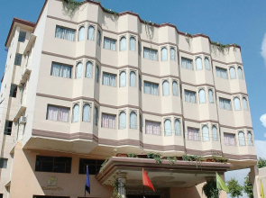 ECKO Premier Vibrant