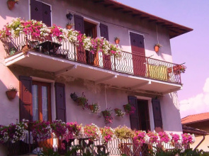 Azalea & Glicine House