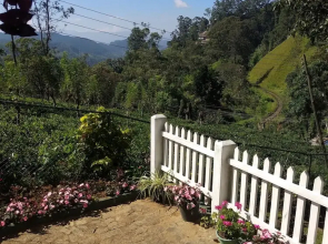 Miselly's Bangalow Hostel