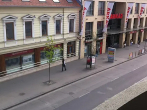 Absolute Center Pecs