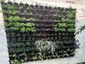 Colonel Dugal's - Near Taj, Fort & Shopping