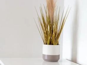 Isla Retreat – Donnini Apartments