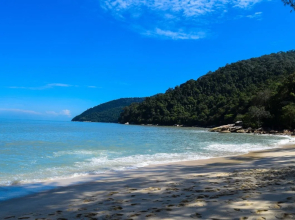 Delite Guest House 05