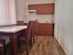 Chernivtsi Apartments