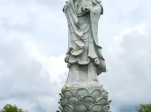 Alojamento S. João