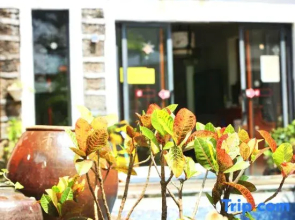 Weizhou Island Bamboo House