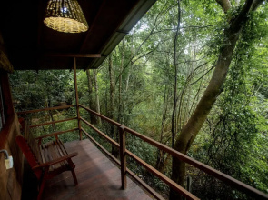 Inn On The Tree Eco Resort Sigiriya