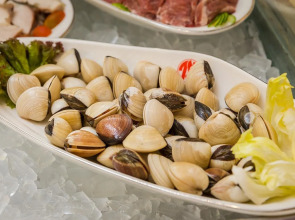 Tan Son Nhat Saigon Hotel