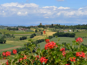 B&B La Casa Fra Gli Olivi