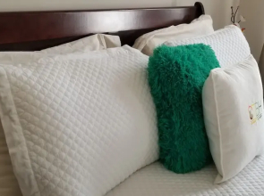 New Kingston Guest Apt at Kingsway