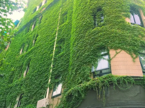 No.5 Chinese Vintage House