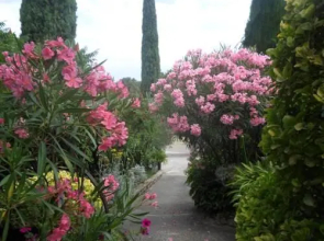 La Sapiniere