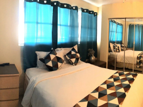 Hollywood Beach Swan