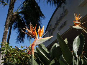 Beachside Resort - Kawana Waters