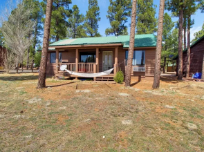 16 Mi to Sitgreaves: Overgaard Cabin w/ Porch