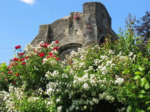 Abbey House Gardens