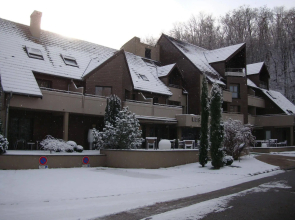 Hôtel les Rives